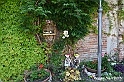 VBS_4448 - Castellinaldo d'Alba